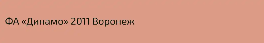 ФА «Динамо» 2011 Воронеж